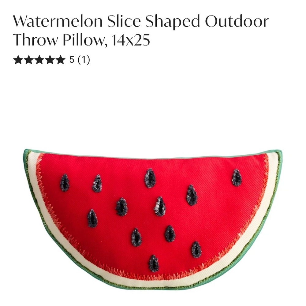 Watermelon Slice Outdoor Throw Pillow - Red/Green